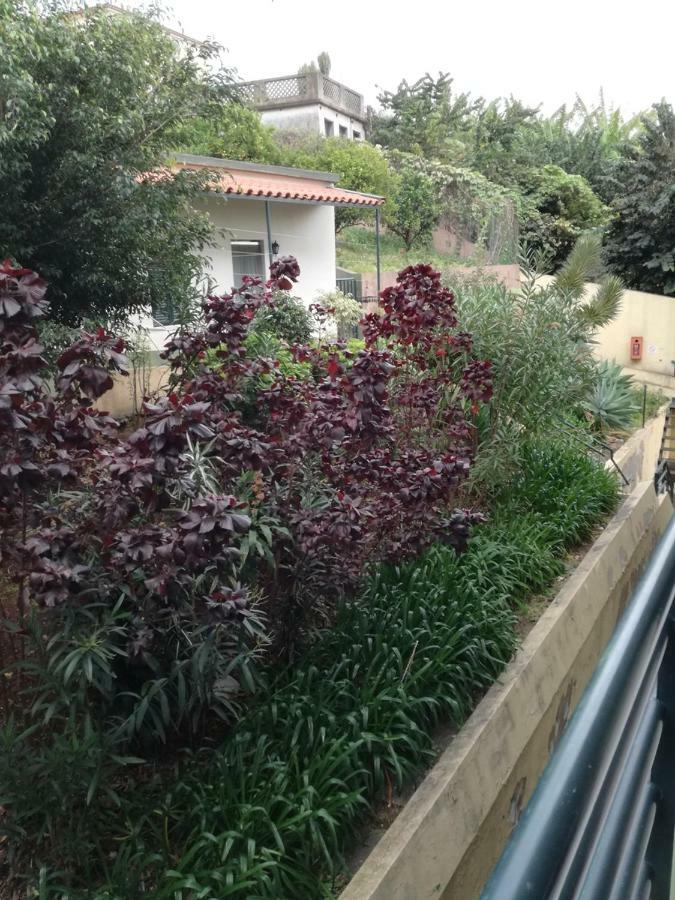 شقة Madeira Funchal Gardens المظهر الخارجي الصورة